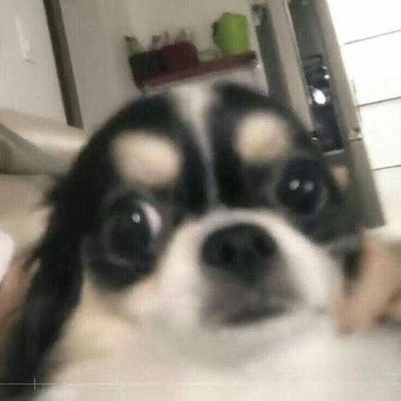 oweziii